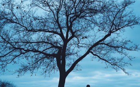 Benim Hikayem (Burak ÜNALAN)