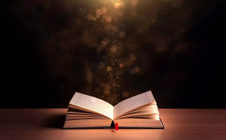 Site Hakkında Genel Bilgilendirme