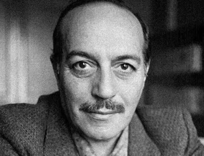 Cemal Süreya Kimdir?