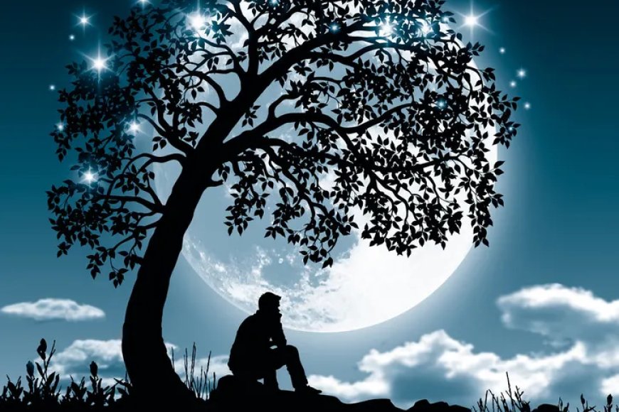 Zamansız Mektuplar III (Burak ÜNALAN)