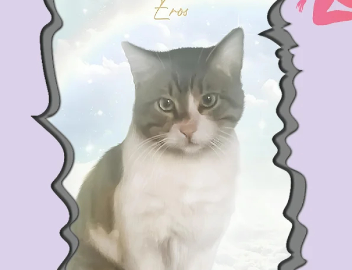 Nefes Dergisi 3. Sayı